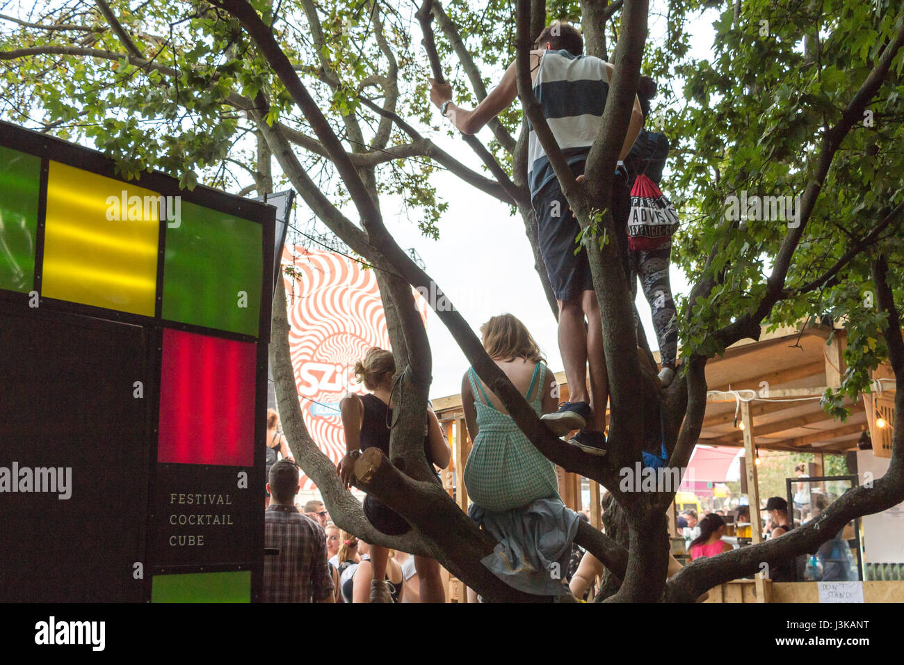 Festivalgoers al Sziget Festival a Budapest, Ungheria Foto Stock