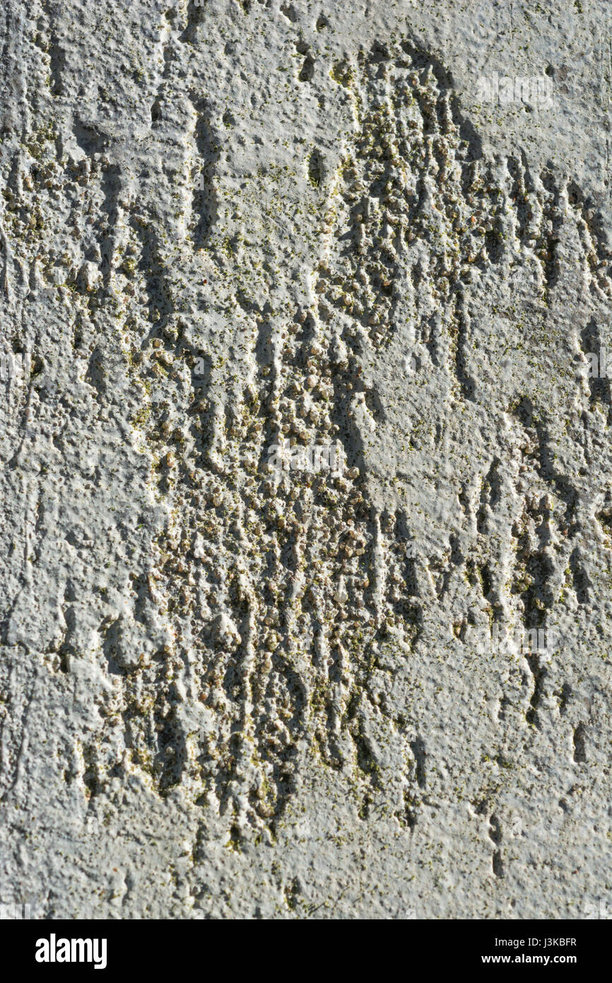 Finitura scadente e ruvida su una sezione di cemento. Superficie irregolare, struttura ruvida, superficie irregolare. Foto Stock