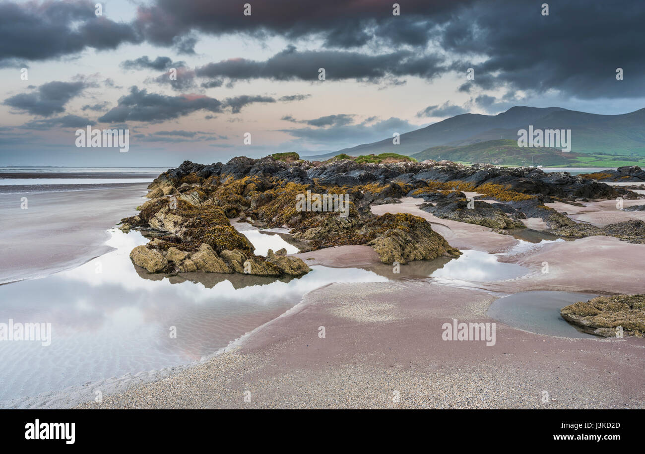 Cappagh Beach, Clockane (Un Clochán), la penisola di Dingle, nella contea di Kerry, Irlanda, in una bella serata estiva poco prima del tramonto con la marea out Foto Stock