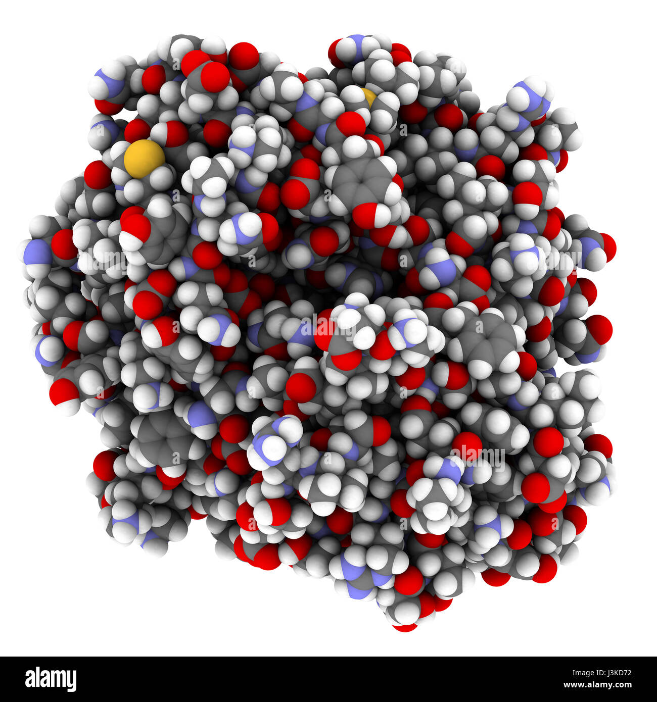 Adiponectin ormone proteico. Svolge ruolo nella regolazione del metabolismo. Atomi come illustrato a colori codificati a sfere. Foto Stock