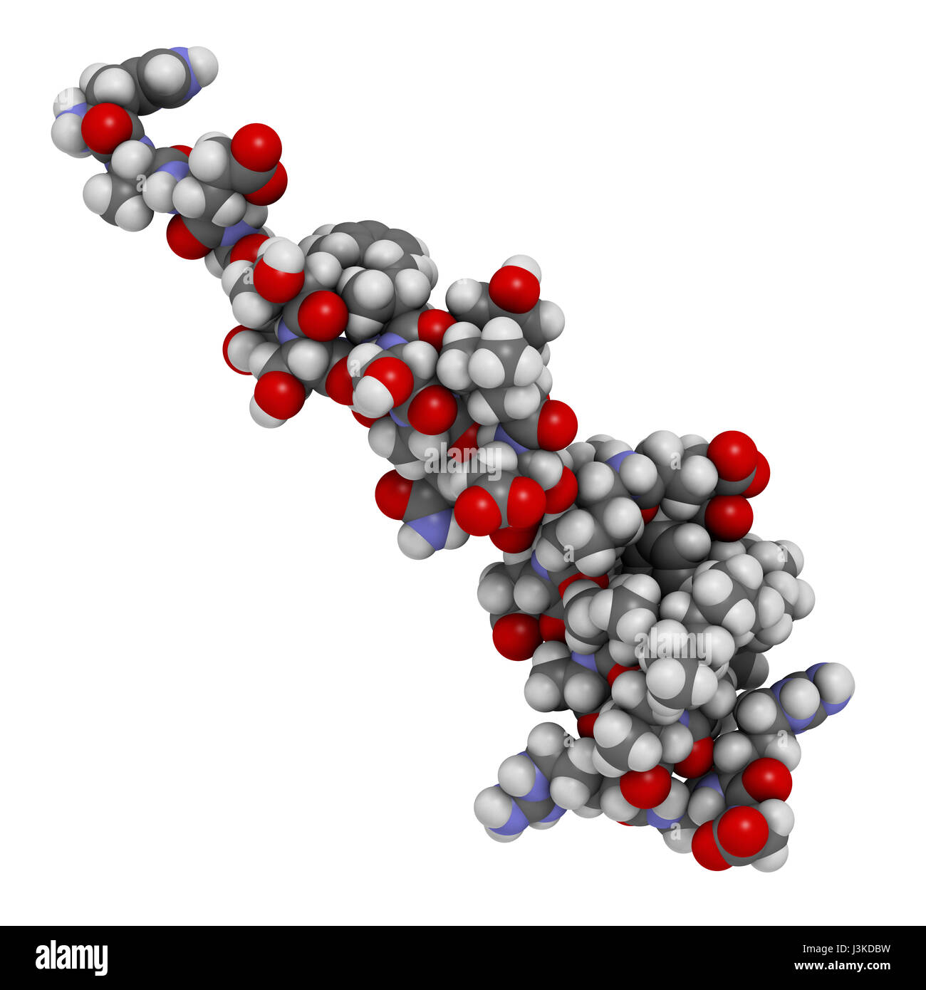 Peptide Liraglutide molecola di farmaco. Agonista del glucagone-peptide-1 simile a recettore utilizzato nel trattamento di diabete e obesità. Atomi mostrato come colore-cod Foto Stock