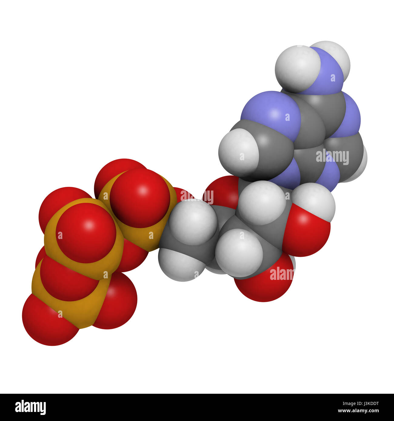 L'adenosina trifosfato (ATP) energia trasporti molecola, struttura chimica. ATP è il principale di energia molecola di trasporto nella maggior parte degli organismi. Gli atomi sono rep Foto Stock