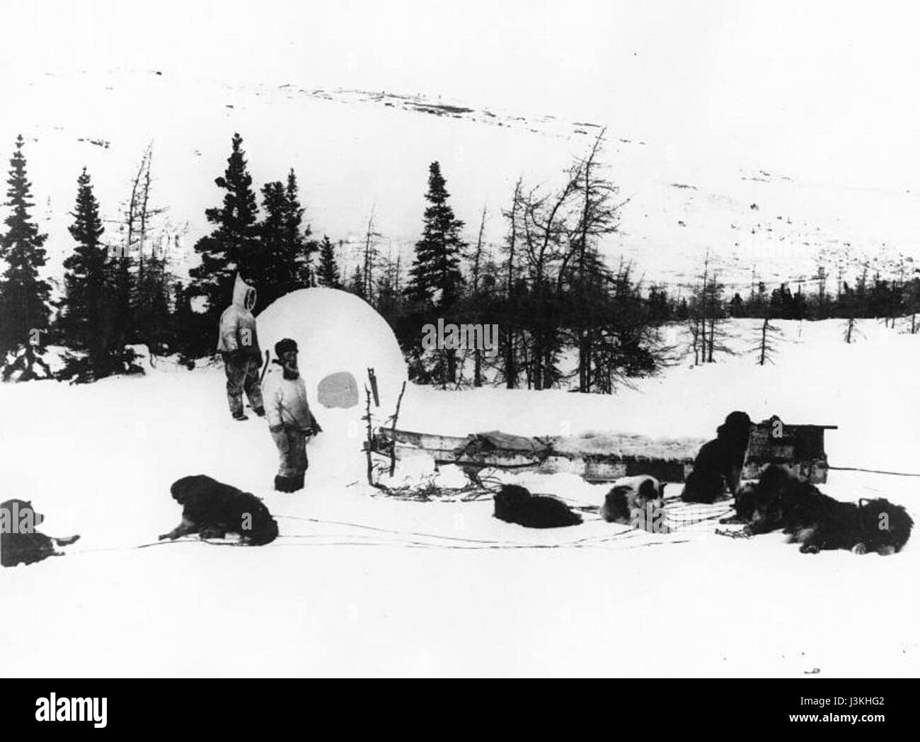 Questo titolo si riferisce probabilmente a un'immagine o a un documento relativo a un igloo a Nain, Labrador, nel 1885. Nain è una comunità nel nord del Labrador, Canada, conosciuta per la sua popolazione Inuit e le tradizionali strutture ghiacciate. Foto Stock