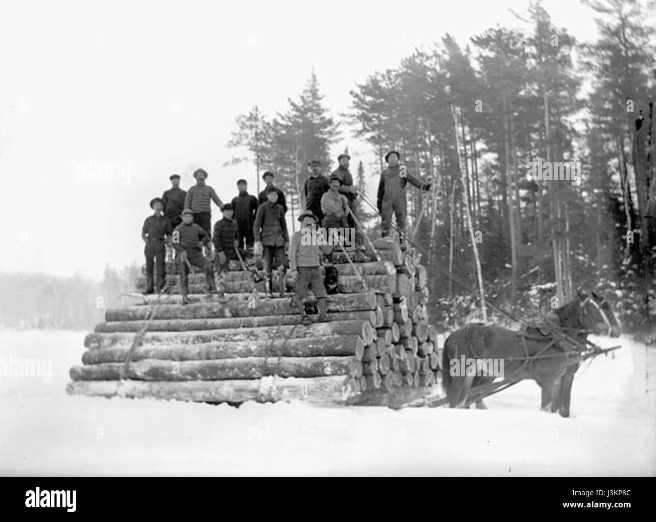 L'immagine raffigura cavalli che trasportano tronchi nella Ottawa Valley, in Canada, mostrando i metodi tradizionali di abbattimento in questa regione, che era vitale per la sua economia durante il XIX e l'inizio del XX secolo. Foto Stock