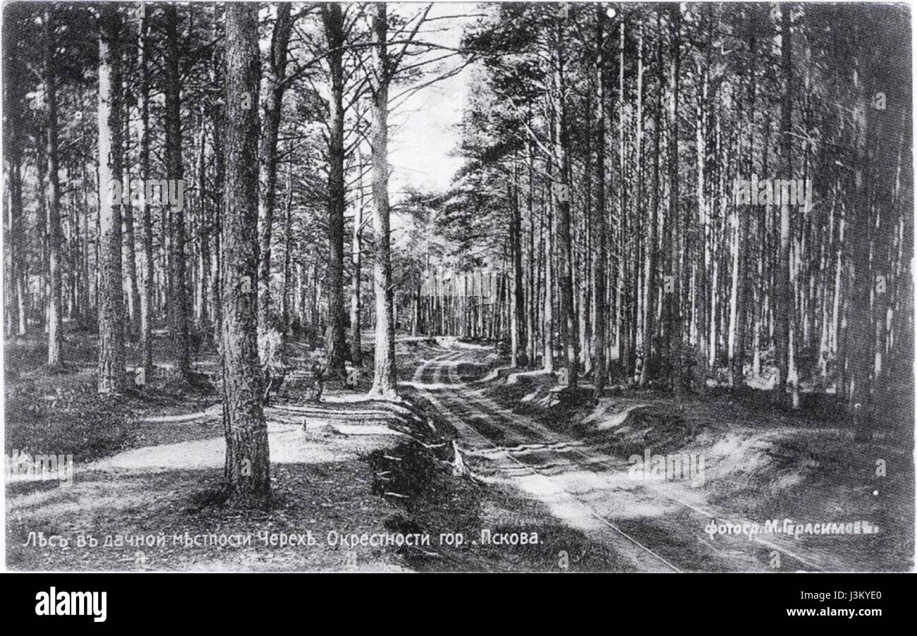 HorsecarCherekha 02 Foto Stock