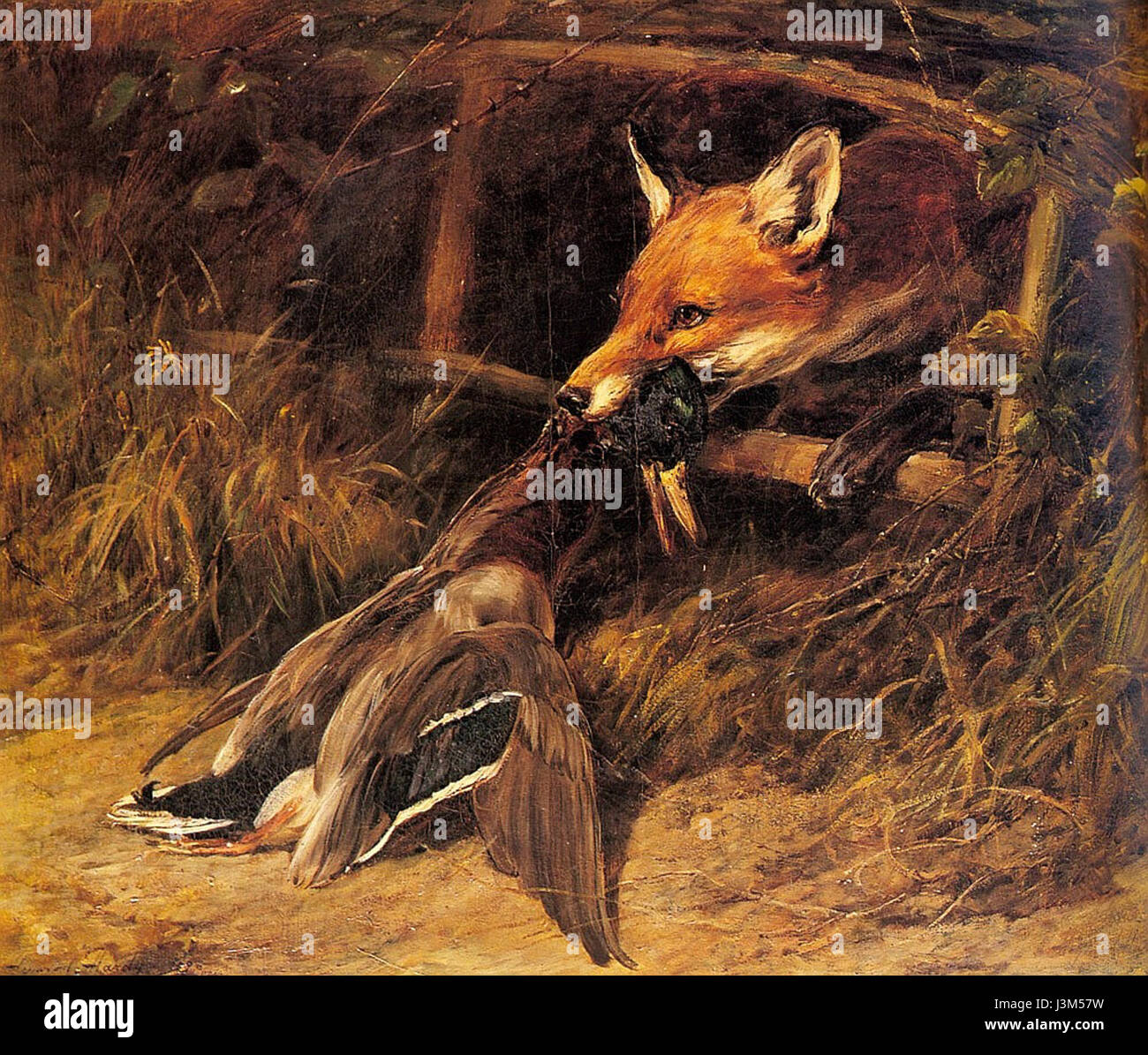 "Returning to the Fox's Lair" è un'opera d'arte del 1896 di Hardy Heywood, che raffigura una scena dalla natura, che probabilmente mostra il ritorno di una volpe nella sua tana. Il pezzo fonde realismo con immagini simboliche della natura, catturando l'ambiente rurale. Foto Stock