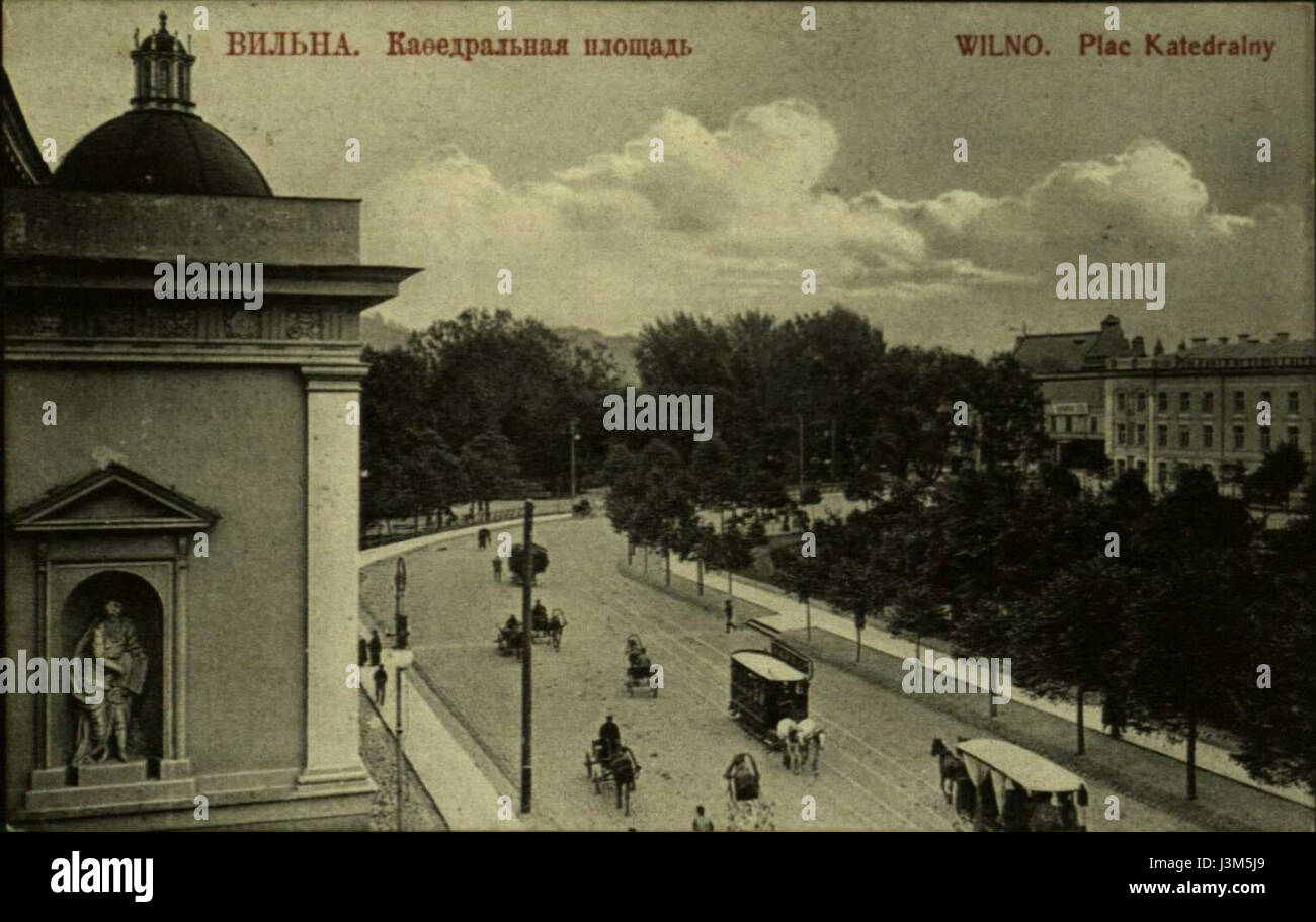 Tramvia a cavallo nel centro di Vilnius Foto Stock