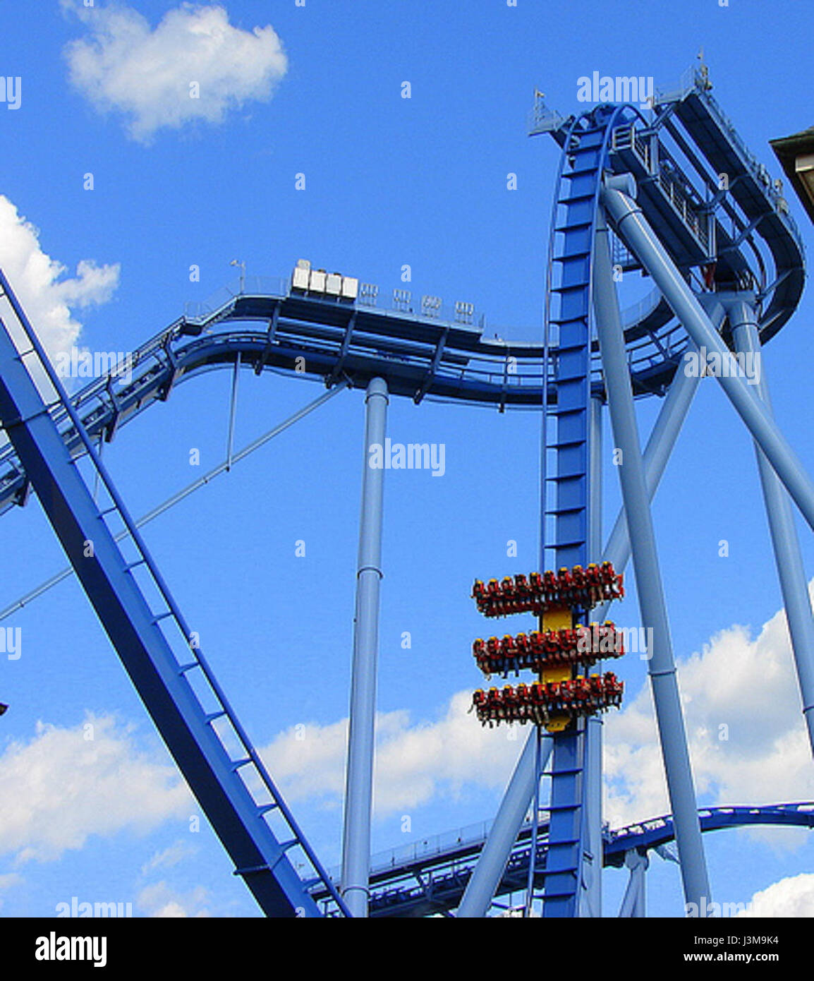 Grifone 1 Foto Stock