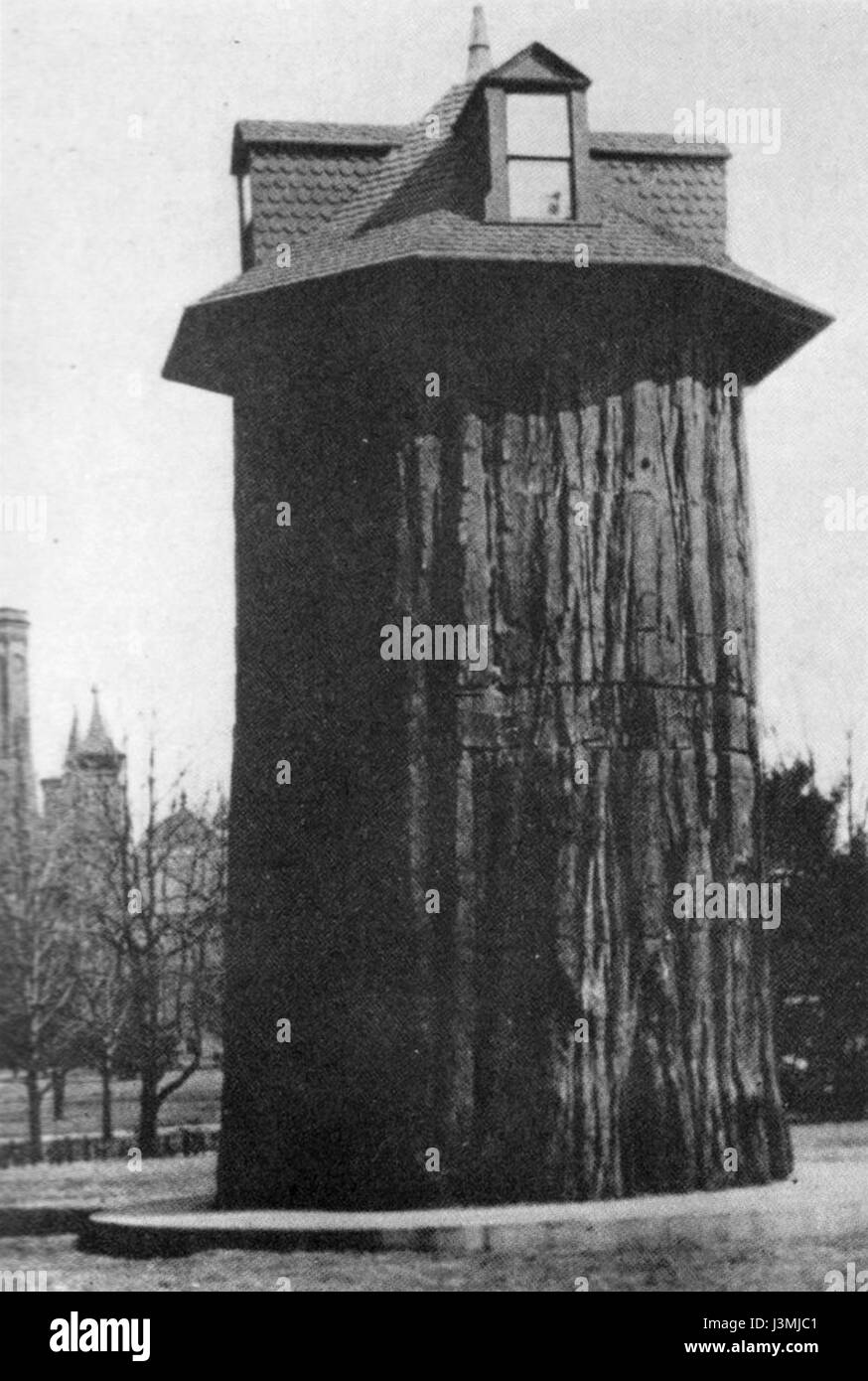 L'immagine mostra una sequoia gigante, uno degli alberi più alti e massicci della Terra. Note per le loro imponenti dimensioni, le sequoie giganti sono un simbolo della grandezza della natura, spesso esposte nei parchi nazionali e nelle riserve naturali. Foto Stock