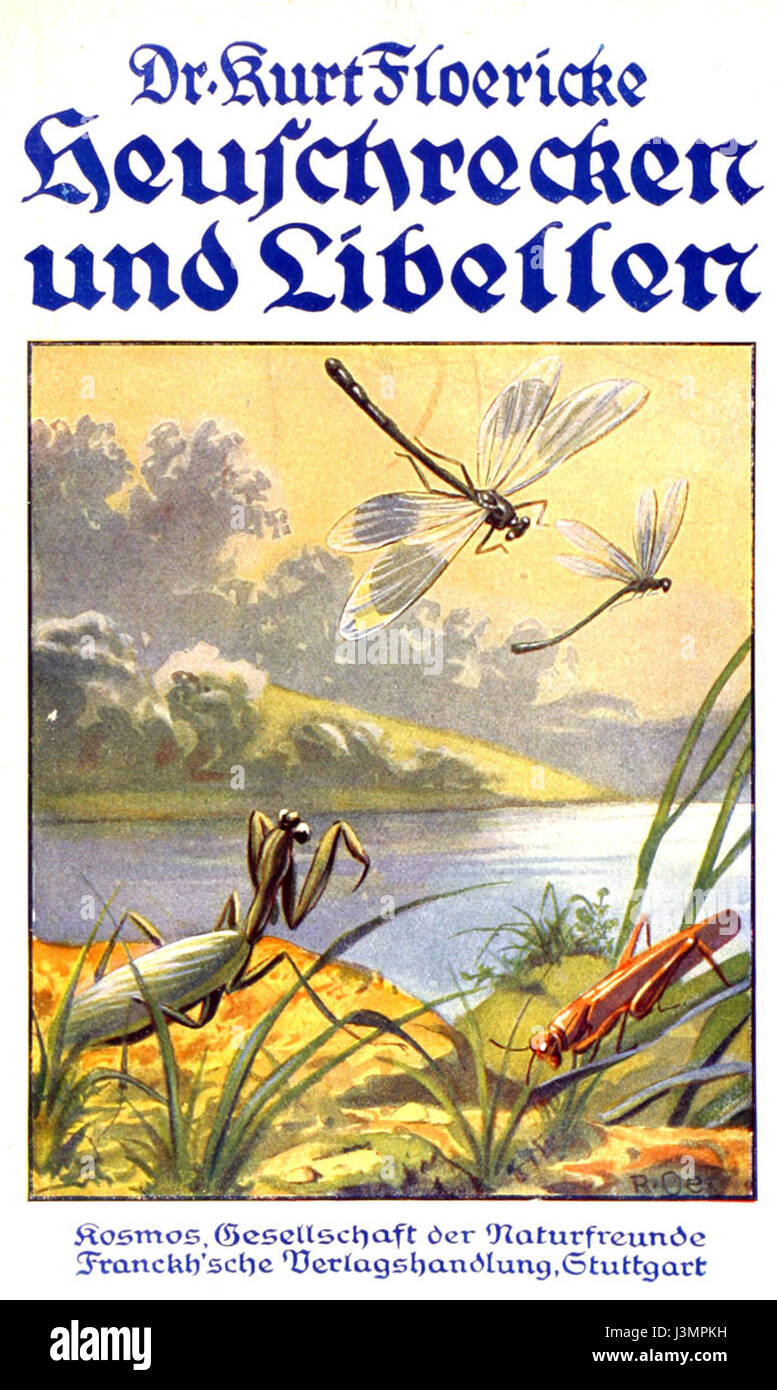 Heuschrecken und Libellen Foto Stock