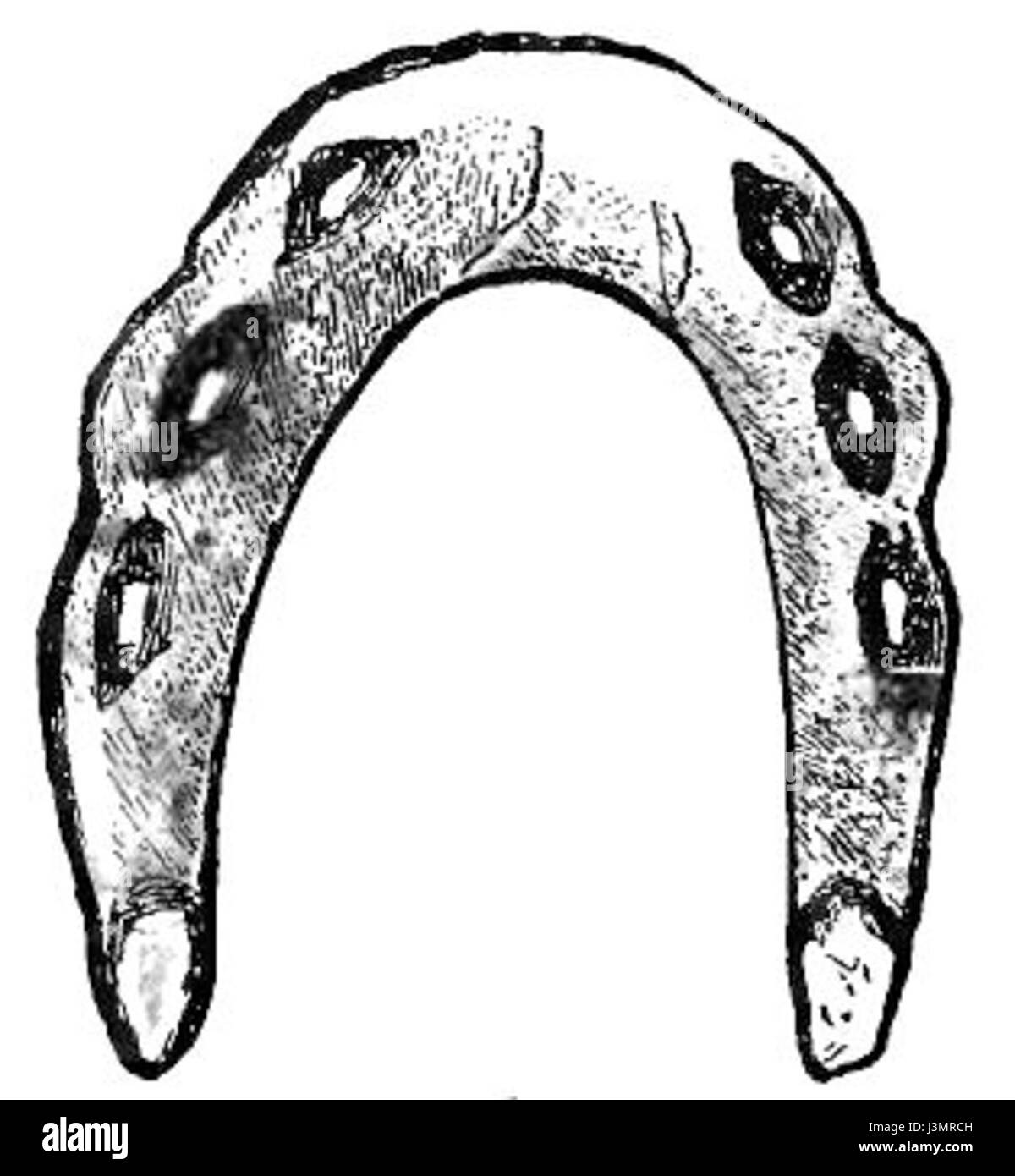 Ferri da cavallo e cavallo ferratura page280b Foto Stock