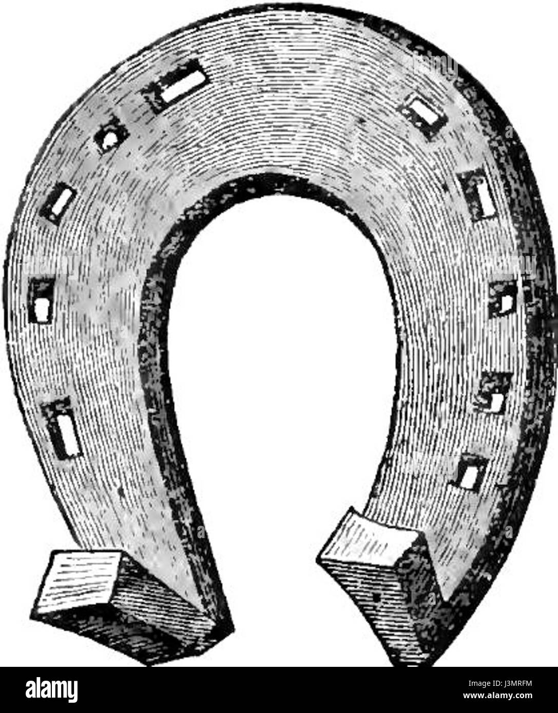 La pratica delle racchette comporta il posizionamento di scarpe metalliche sugli zoccoli di un cavallo per la protezione e le prestazioni. Questa tecnica storica risale ai tempi antichi e si è evoluta nel corso dei secoli per garantire il benessere e la funzionalità dei cavalli utilizzati in vari campi come l'agricoltura, i trasporti e lo sport. Foto Stock