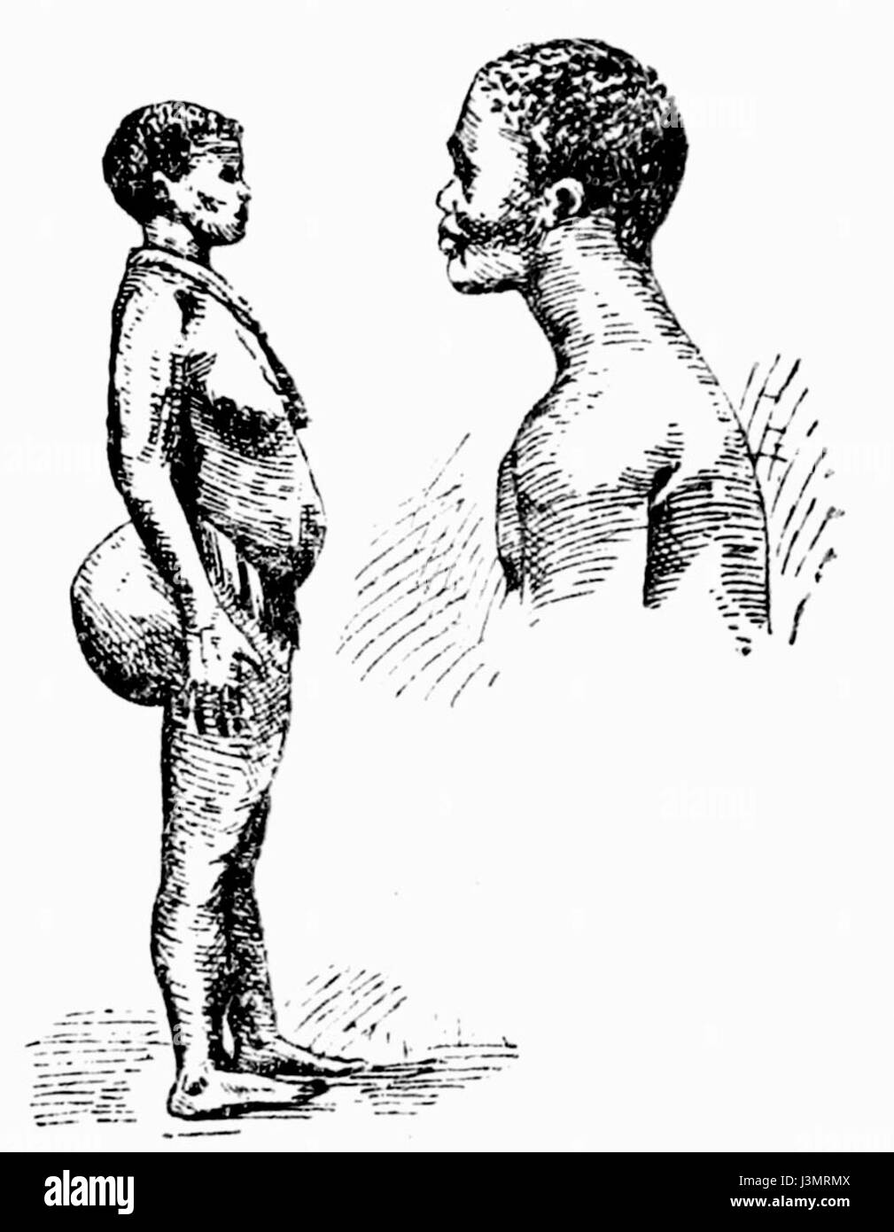 Il titolo si riferisce a un'opera nel campo della musica o degli studi sugli organi, possibilmente in riferimento a un pezzo specifico o alla ricerca di uno studioso relativo ai termini "Hotentoci" e "Orgelbranda". Foto Stock