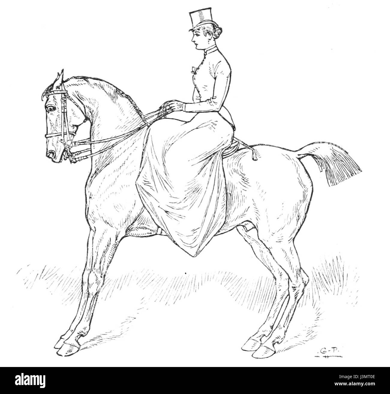 Equitazione per donne 059 Foto Stock