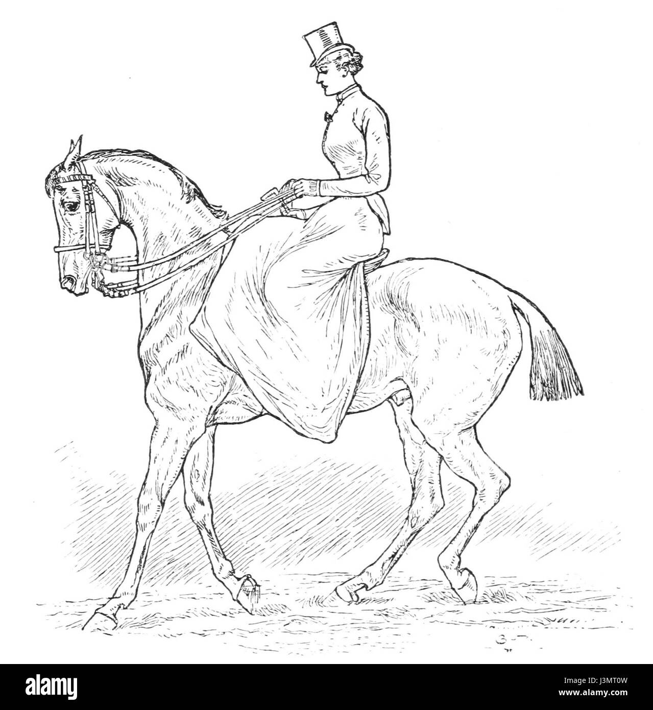 Questo titolo si riferisce a un'opera o guida relativa all'equitazione su misura per le donne, probabilmente incentrata sulle tecniche di equitazione, l'etichetta e la cura dei cavalli. Foto Stock