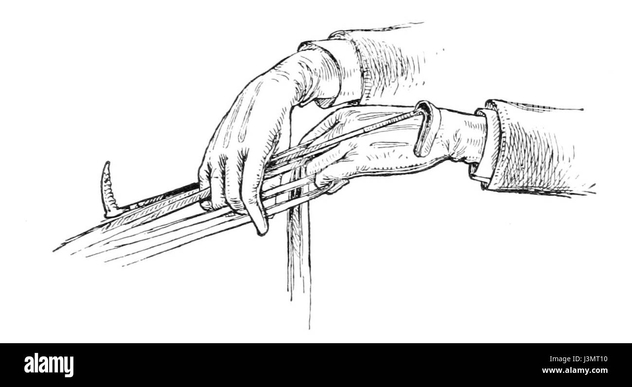 Questa guida sull'equitazione per donne esplora le tecniche e le abilità necessarie per un'equitazione efficace e la cura dei cavalli. Sottolineando un equilibrio tra forza, coordinamento e comunicazione, sottolinea l'importanza della sicurezza e del comfort durante la guida e la gestione dei cavalli. Foto Stock