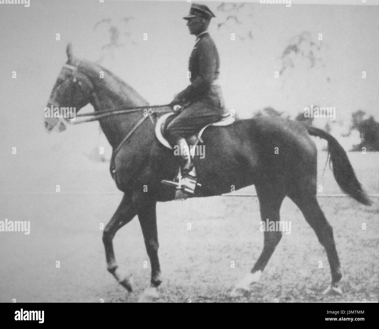 Henryk Leliwa Roycewicz, Giochi Olimpici 1936 a Berlino Foto Stock