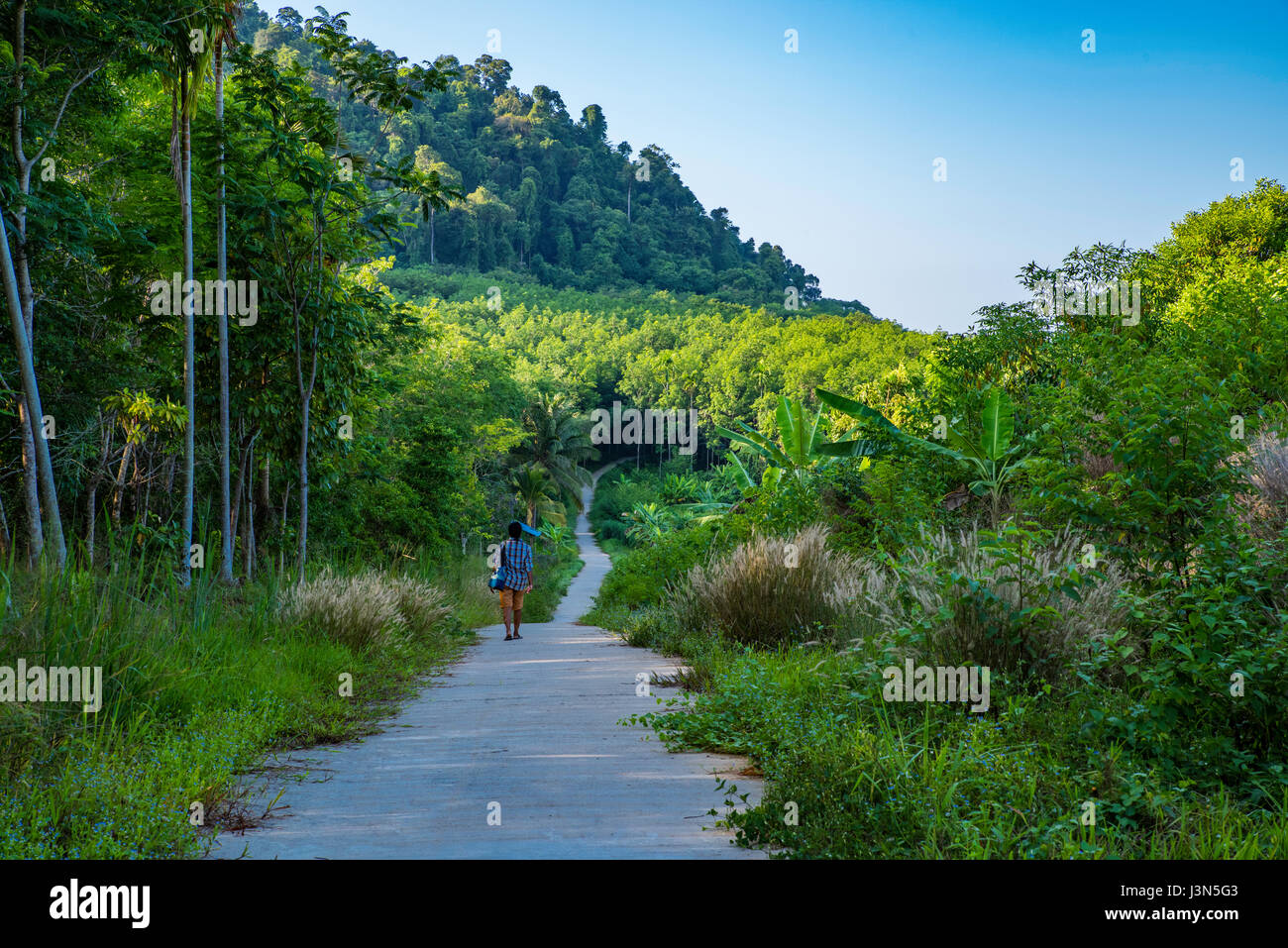 Lungo la strada attraverso il Ko Chang Foto Stock