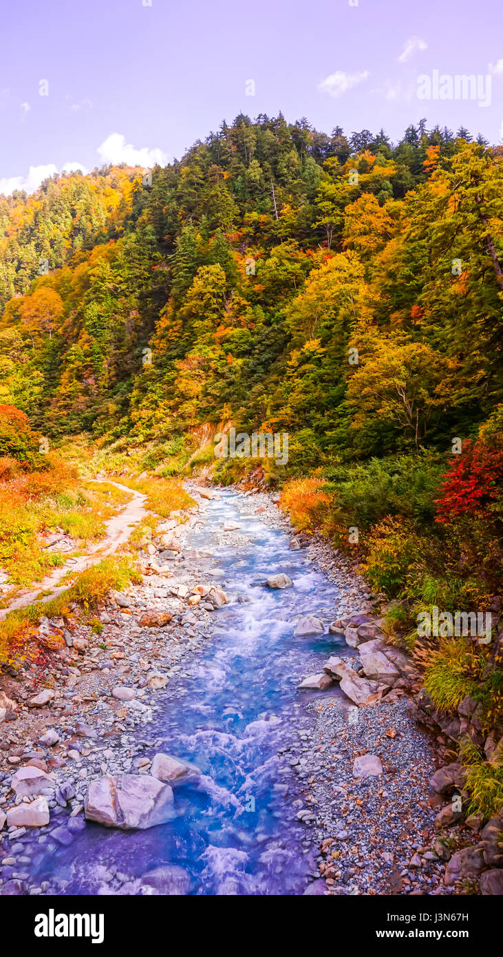 Fiume nella foresta di autunno a Kurobe in Giappone Foto Stock