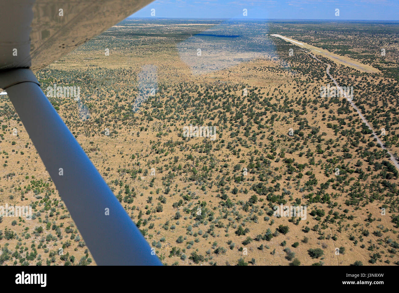 Boccola di aeromobili, pista di atterraggio per aerei, Savute, Botswana, Africa Foto Stock