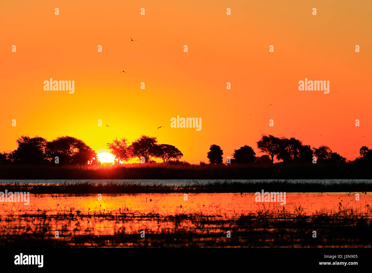 Chobe-Fluss bei Sonnenuntergang, Kasane, fiume Chobe, fiume Chobe National Park, Botswana, Afrika Foto Stock