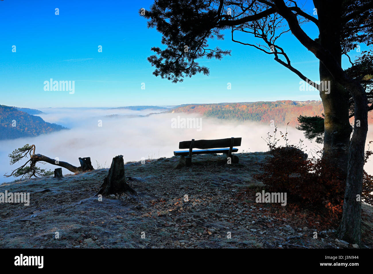 Sitzbank, Aussichtpunkt, Donautal, Naturpark Obere Donau, Baden-Wuerttemberg, Deutschland Foto Stock