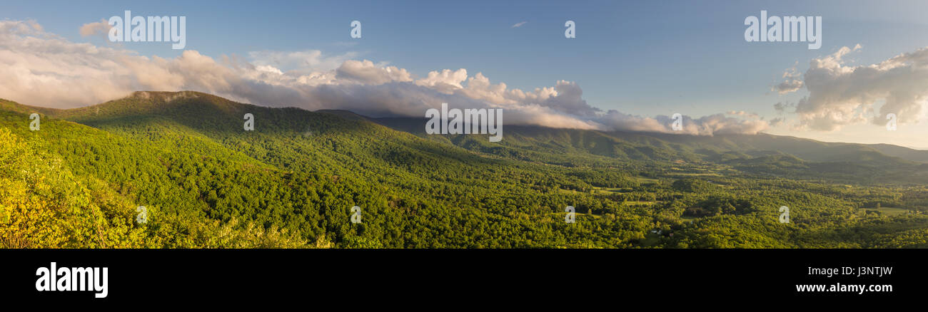 Panorama della valle di Shenandoah al golden ora come si vede dal Parco Nazionale di Shenandoah con la foresta di un luminoso e vibrante verde e nuvole nel cielo Foto Stock