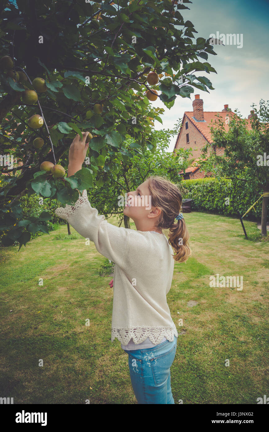 Teen-età ragazza nel verde il prelievo di frutti dall'albero Foto Stock