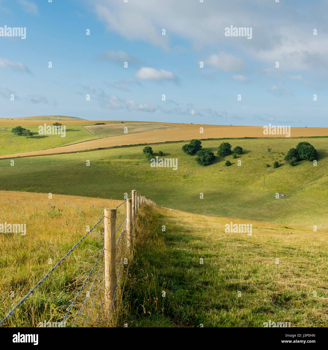 Una vista di Steyning ciotola nella pittoresca South Downs National Park nel West Sussex, in Inghilterra, Regno Unito. Foto Stock