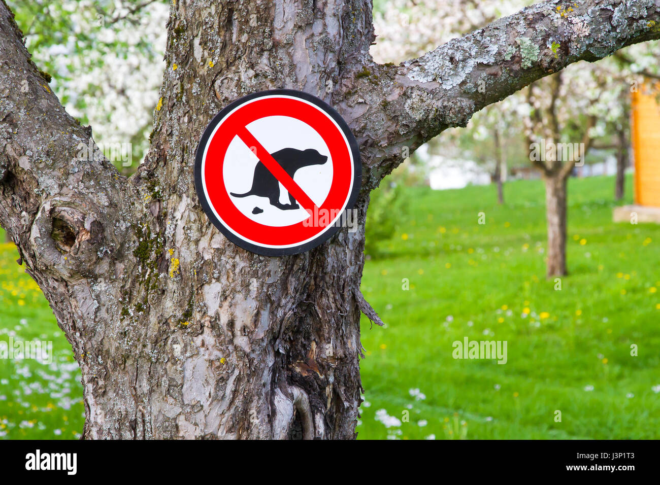 Cani non ammessi sul prato Foto Stock