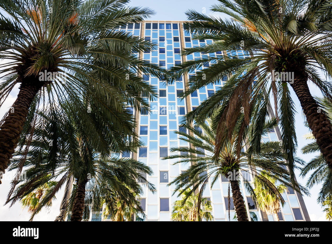 Miami Beach Florida, Lincoln Road Mall, edificio, architettura di metà secolo, palme, albero, design, FL081102018 Foto Stock