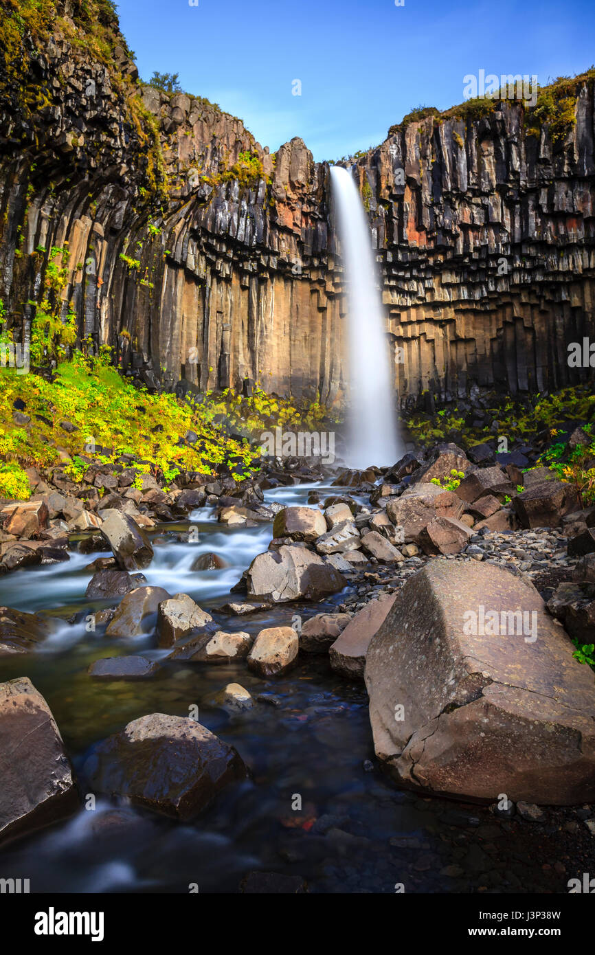 Cascata Svartifoss circondata da colonne di basalto nel sud dell'Islanda Foto Stock