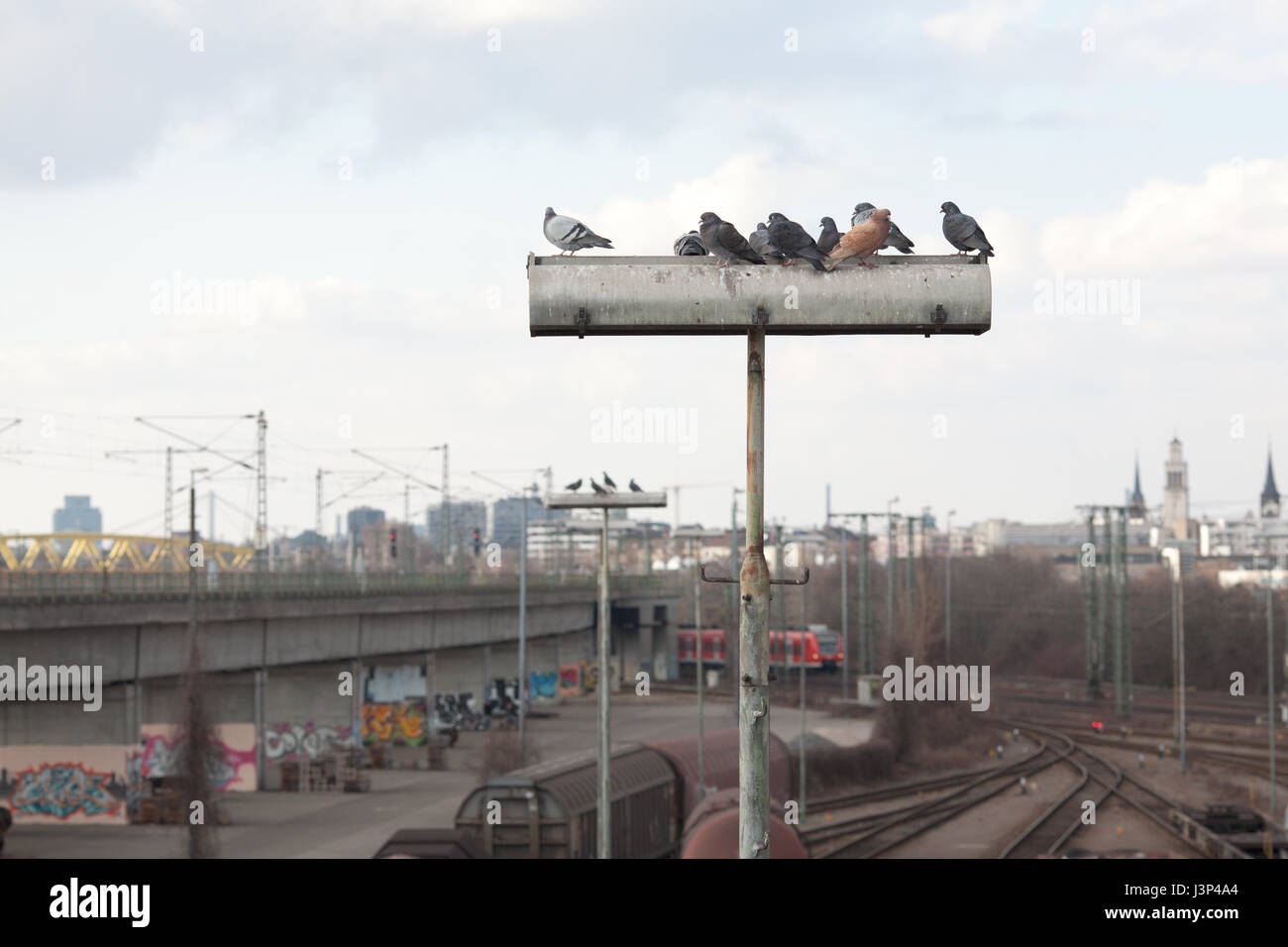 Le colombe seduti su un lampione su una stazione ferroviaria Foto Stock