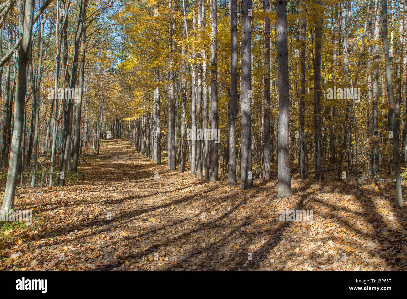 Paesaggio Naturale Foto Stock