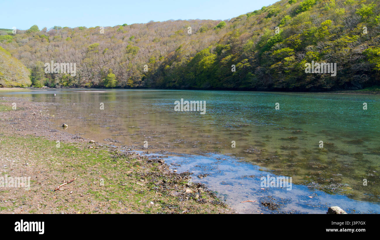 Viste dal Riverside, Cornwall, Regno Unito Foto Stock