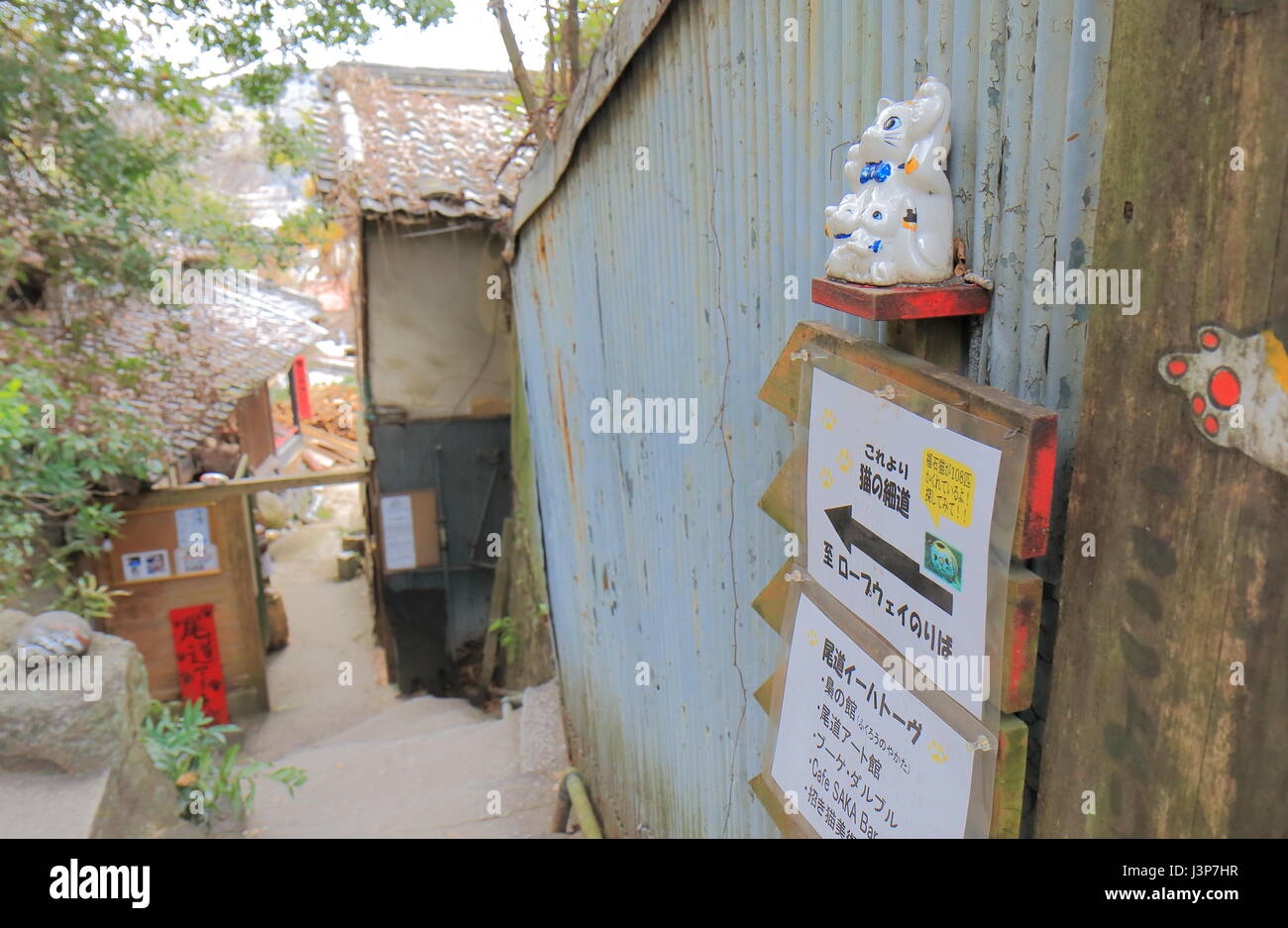 Onomichi alley cat. in Hiroshima, Giappone. Onomichi è una città storica con molti templi e piccoli vicoli. Foto Stock