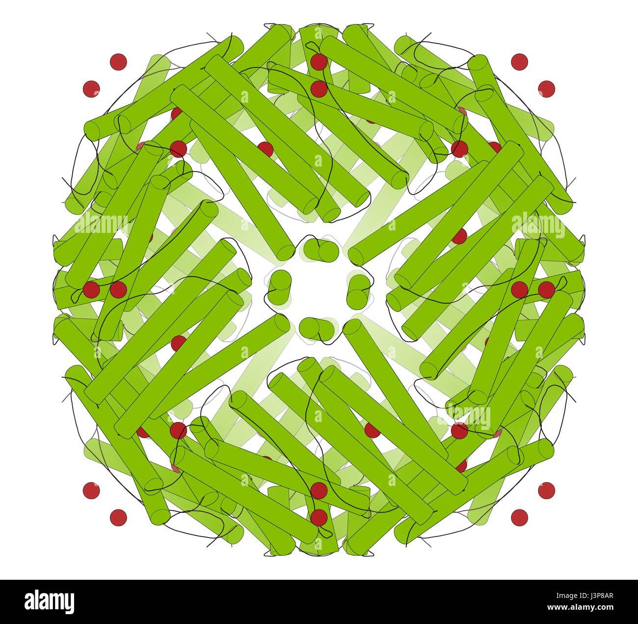 La ferritina (apoferritina) proteina. La ferritina è il principale di ferro proteina di storage negli esseri umani. I valori di ferritina sierica è correlato con la quantità di ferro presente nel corpo Foto Stock