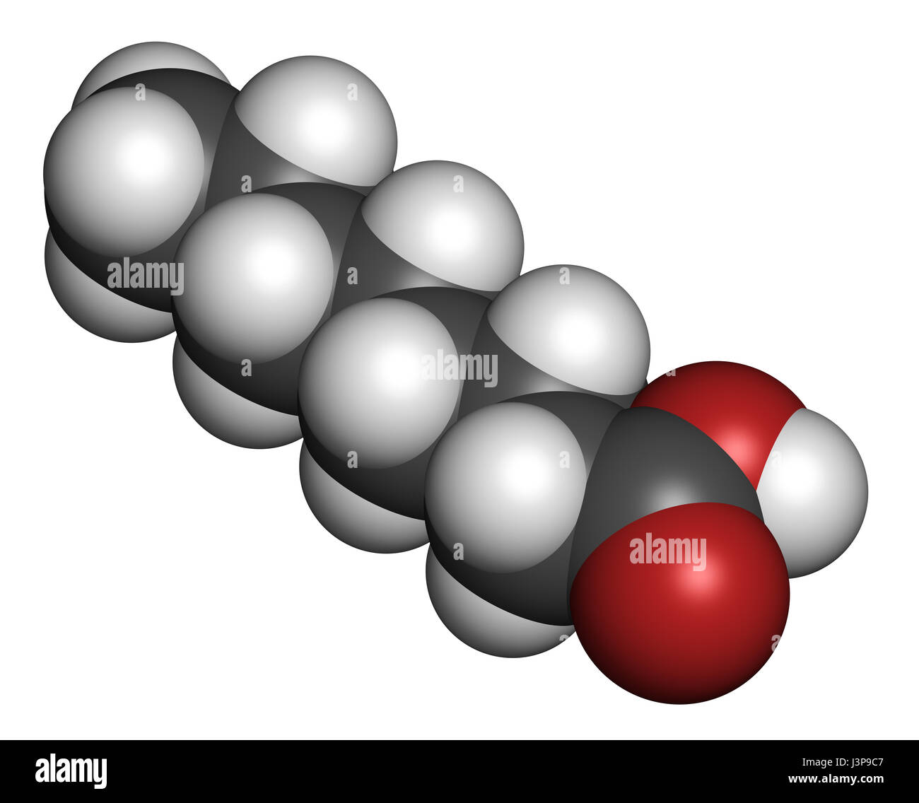 Caprilico (ottanoico acido). Di acidi grassi a media catena, utilizzato come agente antimicrobico, integratore alimentare e prodotto chimico intermedio. Gli atomi sono rappresentati come sp Foto Stock