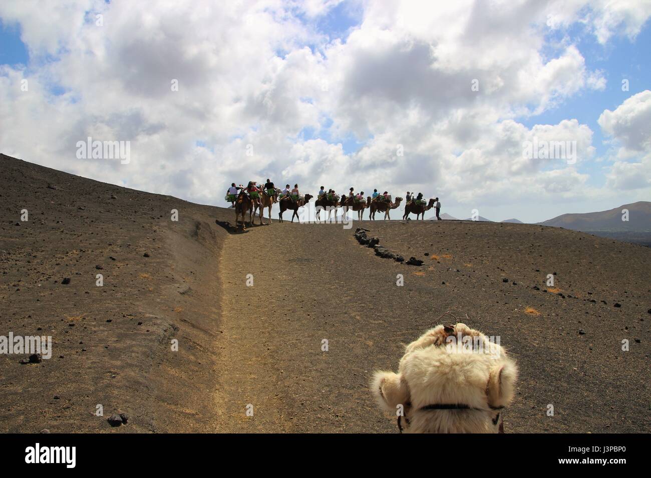 Camel trek al Parco Nazionale di Timanfaya, turisti godendo di corsa in cammello intorno a un vulcano con guida leader, Lanzarote, Isole Canarie Foto Stock