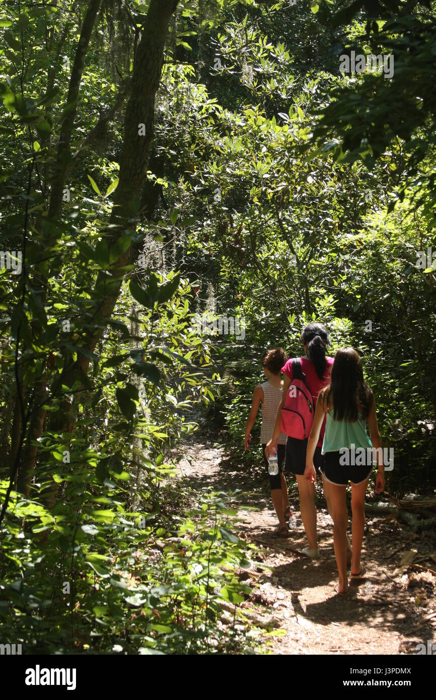 La mamma e le figlie a piedi su sentiero nel bosco in estate Foto Stock