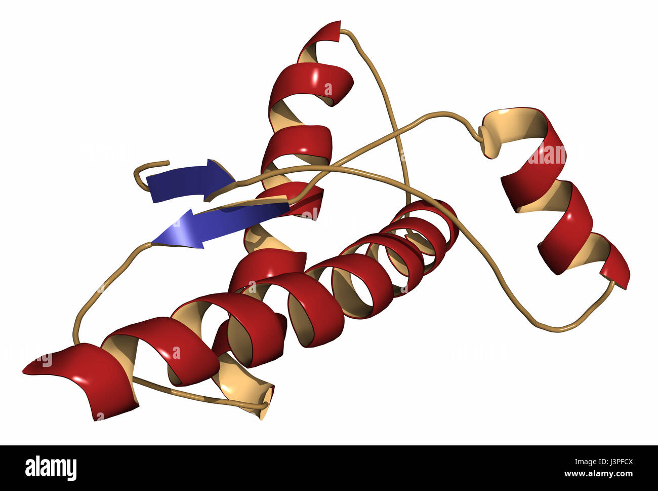 Umano proteina prionica (hPrP), struttura chimica. Associata con malattie neurodegenerative, compreso il kuru, la BSE e la malattia di Creutzfeldt-Jakob. Cartoon represe Foto Stock