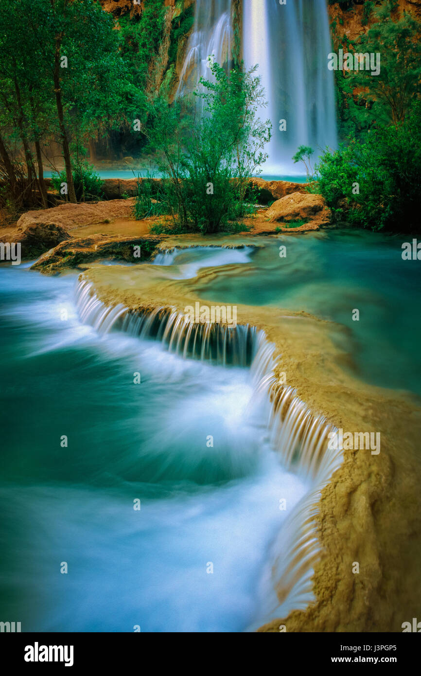 Havasu Canyon è una gola paradisiaca dove le acque turchesi cascata nella piscine in travertino e grazioso salici e nobile cottonwoods forniscono ombra un Foto Stock