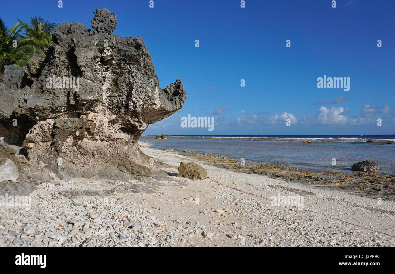 Formazione di roccia sulla riva del mare, atollo di Tikehau, Arcipelago Tuamotu, Polinesia francese, oceano pacifico del sud Foto Stock