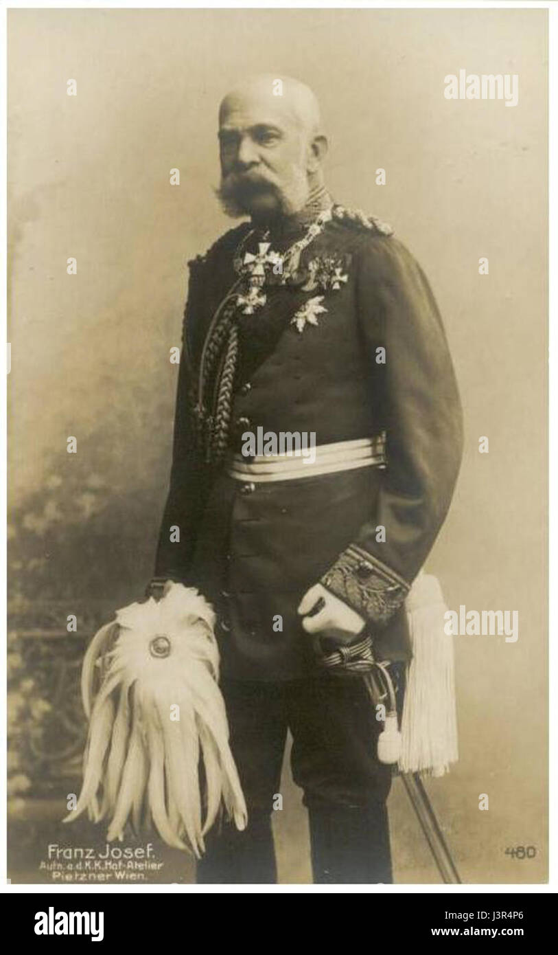 Un ritratto dell'imperatore Francesco Giuseppe i nella sua uniforme tedesca, che mostra l'abbigliamento e le regalie del monarca austriaco. Questa immagine mette in evidenza l'abito militare formale del periodo, che riflette il ruolo imperiale e la forza militare dell'Impero austro-ungarico. Foto Stock
