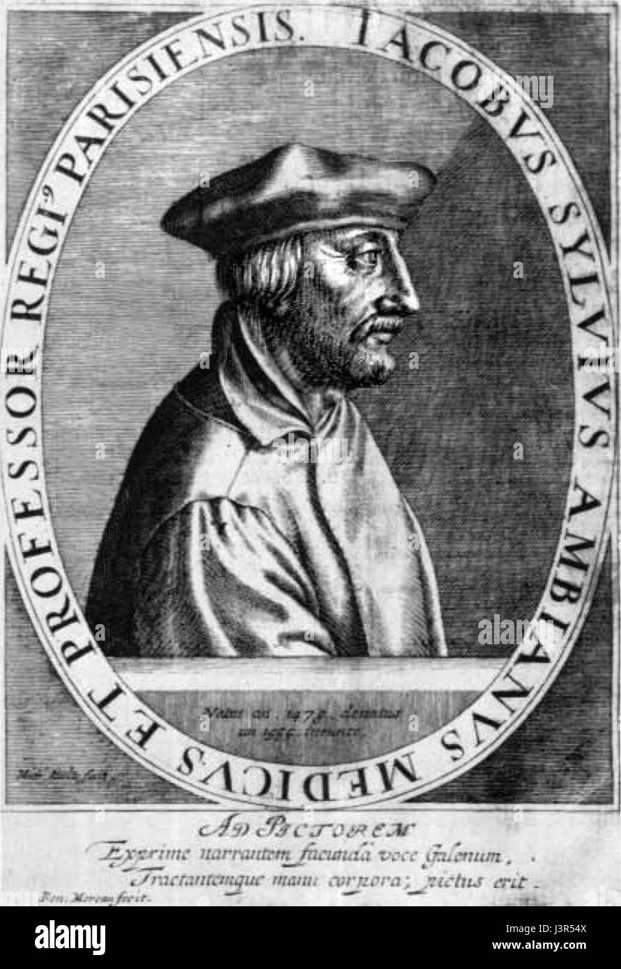 Jacobus Sylvius è stato un anatomista e medico fiammingo del XVI secolo noto per il suo lavoro in anatomia umana e medicina, dando contributi significativi alla prima scienza medica durante il periodo rinascimentale. Foto Stock