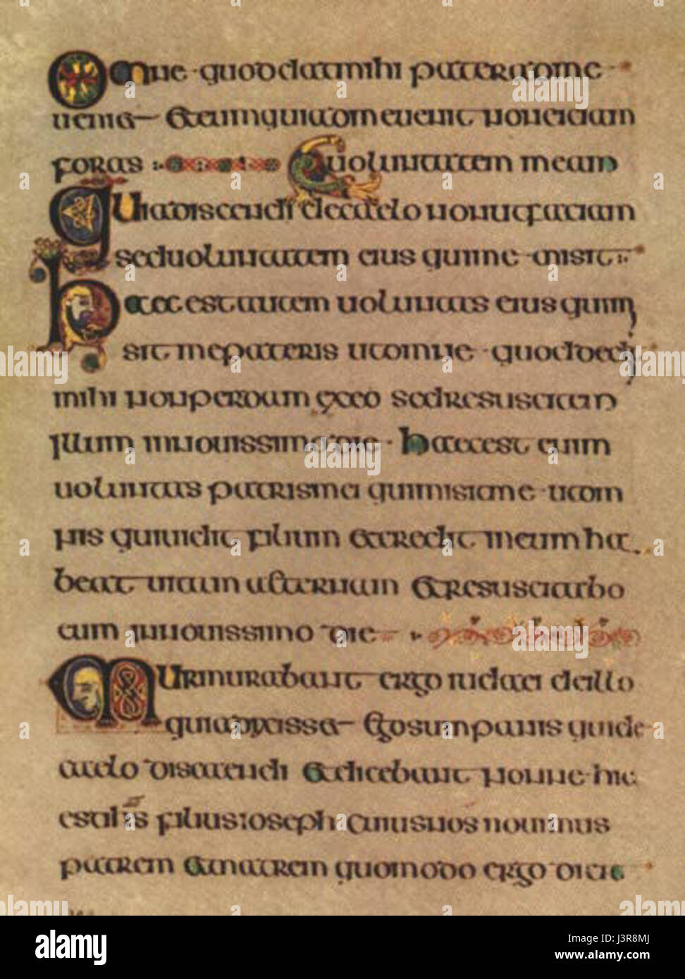 KellsFol309r si riferisce a un manoscritto, probabilmente tratto dal Libro di Kells, un manoscritto miniato medievale. La pagina o il dettaglio specifico possono concentrarsi su intricate rappresentazioni religiose o artistiche, di importanza culturale e storica. Foto Stock