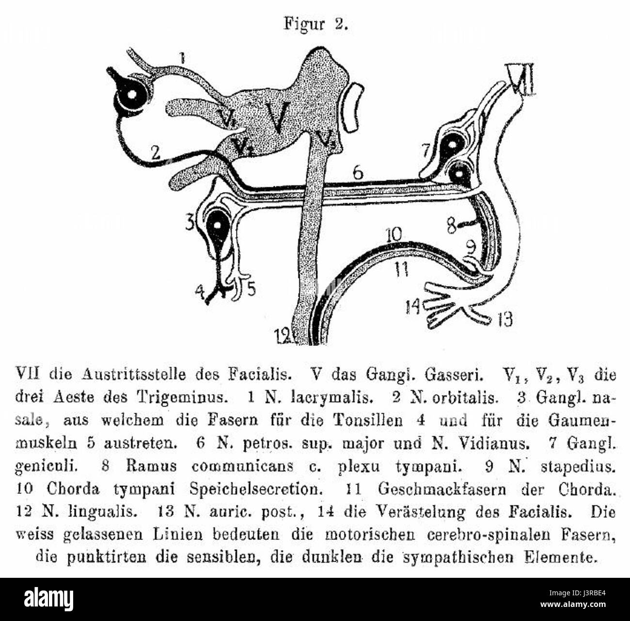 Jendrassik2 Foto Stock