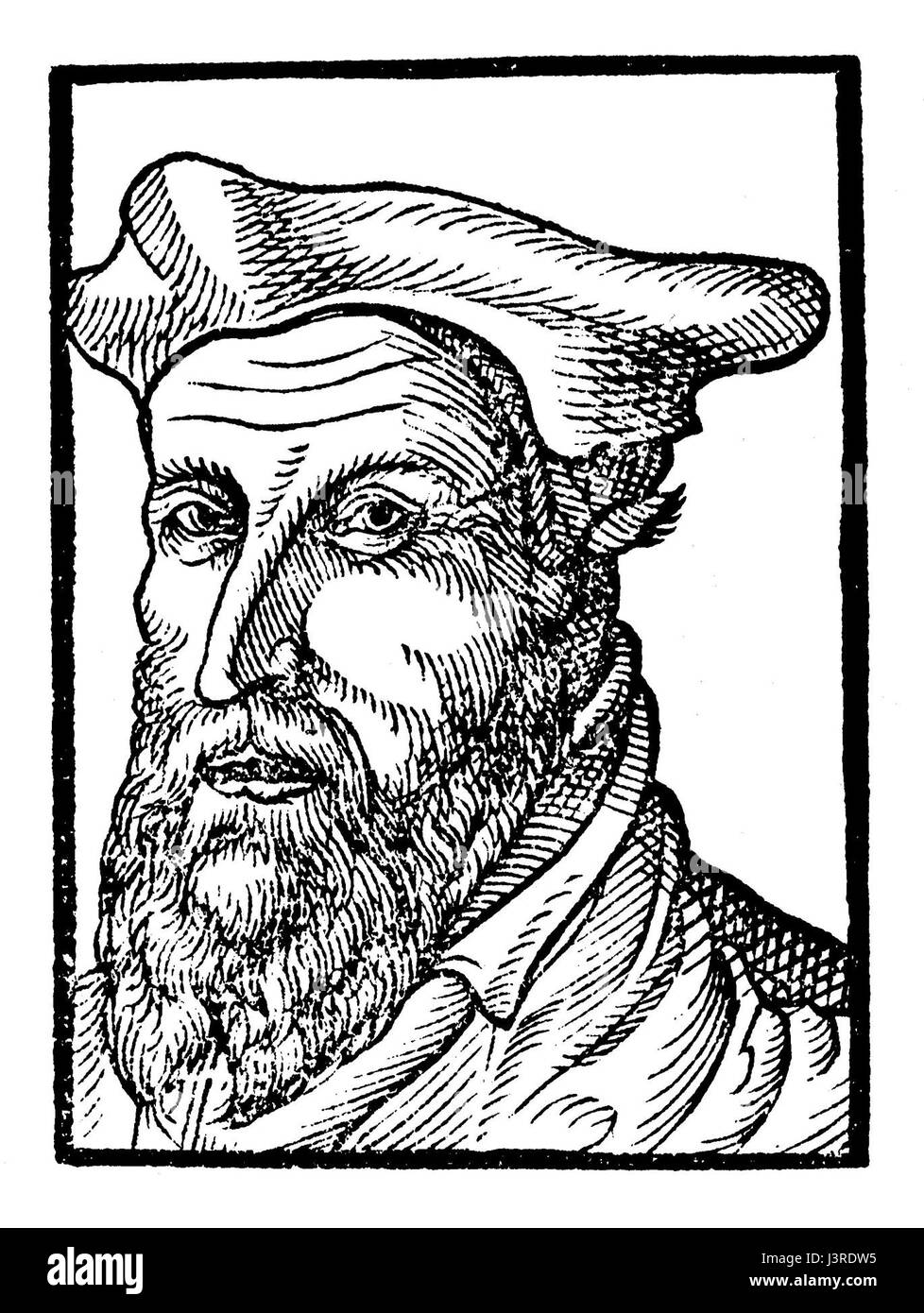 Johannes Rivius Atthendoriensis Foto Stock