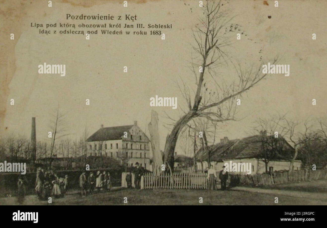 Cartolina del 1883 raffigurante il tiglio a Kęty, in Polonia, dove il re Giovanni III Sobieski si accampò durante il tragitto verso la Battaglia di Vienna del 1683. Foto Stock