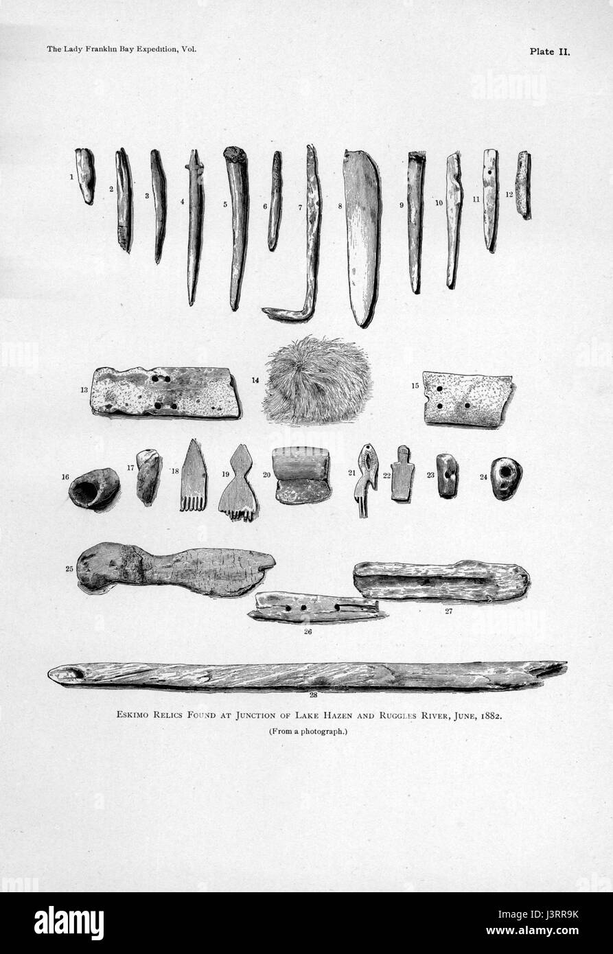 Un'illustrazione scientifica dettagliata dallo studio del conger Ipy, che mostra la sua anatomia, biologia e classificazione. Foto Stock